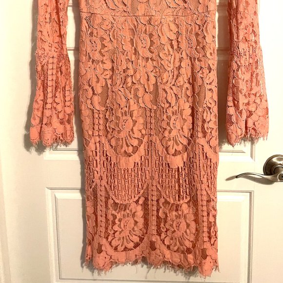 Lulu's Chic Pink Lace Dress - Picture 7 of 11
